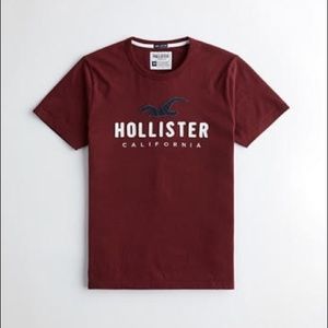 T shirt Hollister